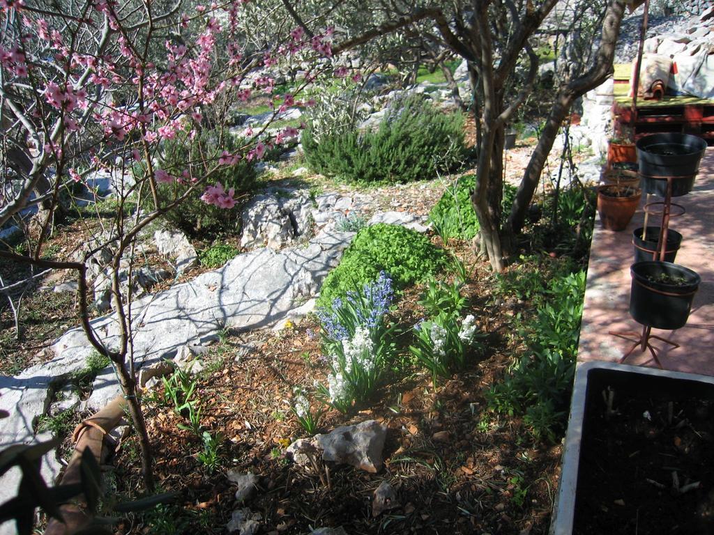 Holiday Home Zeljana Kaprije Exterior photo