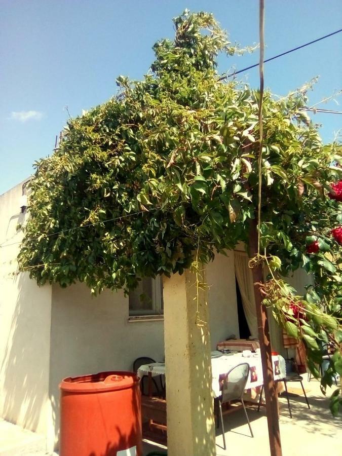 Holiday Home Zeljana Kaprije Exterior photo